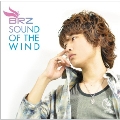 SOUND OF THE WIND