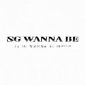Part. 1 : SG Wannabe Vol. 7