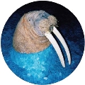 The Walrus EP (Picture Vinyl)
