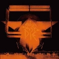 Invaders Must Die Remixes<Orange Vinyl>