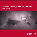 Fortunat Frolich & Christian Zehnder - Wetterleuchten
