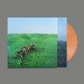 Bright Green Field<数量限定盤/Apricot Color Vinyl>