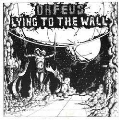 Lying To The Wall<限定盤>