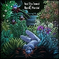 Feel The Sound Of Harvey Mandel＜Blue & Purple Sunburst Colored Vinyl＞