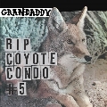 Rip Coyote Condo #5 B/W The Fox In The Snow & In My Room