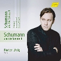 Schumann und die Sonate 2 (Schumann and the Sonata 2)