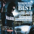 PSYCHEDELIC RAVE SPECIAL NO.1"W NAME"BEST～DJ ACE vs INFECTED MUSHROOM + V.I.P. GUEST～supported by SOUL JAPAN