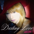Destiny Love / Stay in my heart