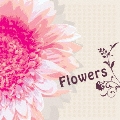 Flowers<初回生産限定盤>