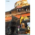 岩合光昭の世界ネコ歩き タイ・チェンマイ