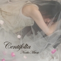 Centifolia