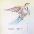 Blue Bird＜初回限定盤＞