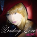 Destiny Love / Stay in my heart