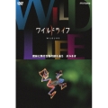 ワイルドライフ 密林に飛行生物の謎を追う ボルネオ