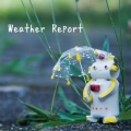 Weather Report