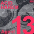 AGENT 13