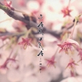 SAKURA～一期一会～
