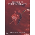 ザ・ベスト・オブ・ワイルドハーツ