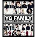 YG FAMILY 2014 WORLD TOUR:POWER IN JAPAN
