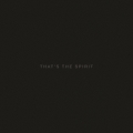ザッツ・ザ・スピリット