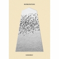 MURMURATIONS