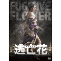 逃亡花 DVD-BOX