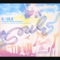 ソウルズ－ア・コレクション・オブ・サルソウル・エッセンシャルズ