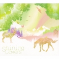 Shining Covers