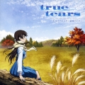 セカイノナミダ　～「ｔｒｕｅ　ｔｅａｒｓ」ＥＤテーマ