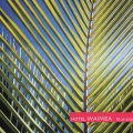 HOTEL WAIMEA