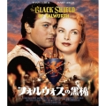 フォルウォスの黒楯
