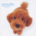 プードルが選ぶベスト10 WITH バウリンガル