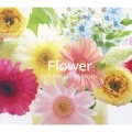 Flower Gift for Piano Music
