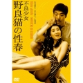 不良少女 野良猫の性春