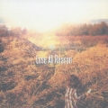 Lose All Reason