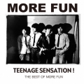 TEENAGE SENSATION! THE BEST OF MORE FUN