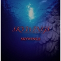 SKYWINGS (Type-B)