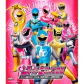 新スーパーヒロイン図鑑 スーパー戦隊2002-2006編[ハリケンジャー～ボウケンジャー]