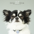 犬塚愛 One on One Collaboration