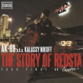 THE STORY OF REDSTA～TOUR FINAL '08～ Chapter 2  [CD+DVD]