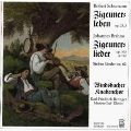 Shumann:Zigeunerleben/Brahms:Sieben Lieder/Windsbacher Knabenchor/Karl Friedrich Beringer