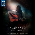 FLAMENCO - Pasado y Presente