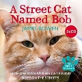 A Street Cat Named Bob