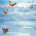 Walking Through Clouds