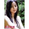 高田里穂 / 高田里穂ファーストDVD