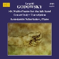 Godowsky: Piano Music Vol.12