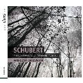 Schubert: Piano Sonata No.21 D.960, Moments Musicaux D.780