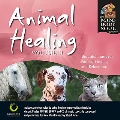Animal Healing, Vol. 2