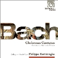 J.S.Bach: Advent & Christmas Cantatas