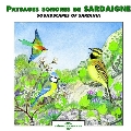 Soundscapes Of Sardinia